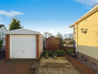 Picture 10